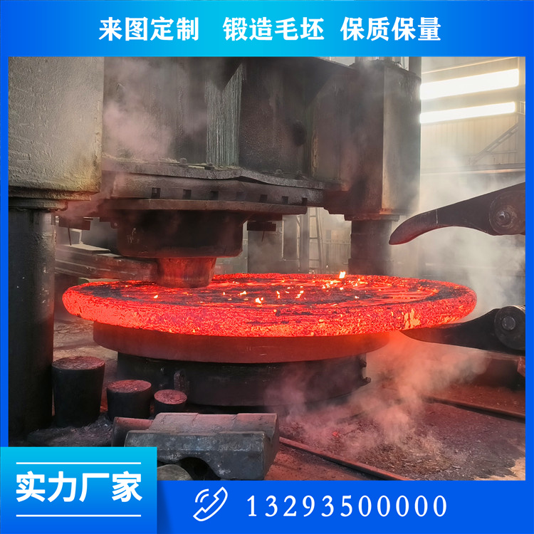 H13材质挤压垫锻件